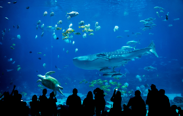水族館
